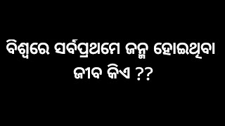 ବିଶ୍ବରେ ପ୍ରଥମେ କାହାର ଜନ୍ମ ହୋଇଥିଲା ? | Odia Gk | NB Story Odia