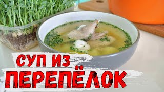 Суп из перепёлок с овощами и перепелиными яйцами пашот! Перепелиный суп