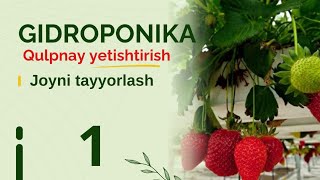 Gidroponika usulida qulpnay yetishtirish (1-qism)