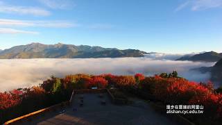 阿里山楓紅大雲海