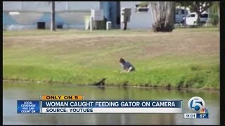 Woman caught feeding gator on camera