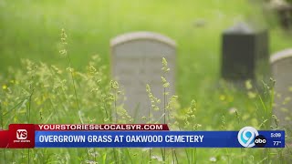 Overgrown grass at Oakwood Cemetery
