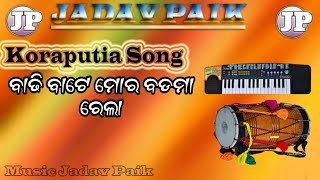 ବାଢି ବାଟେ ମୋର ବଡମା ରେଲା //New Koraputia Song//Jadab paik💐👌👍