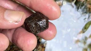 Finding Crystals Garnet Wissahickon Park Philadelphia