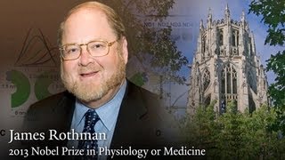 Yale's James Rothman shares 2013 Nobel Prize in Physiology or Medicine