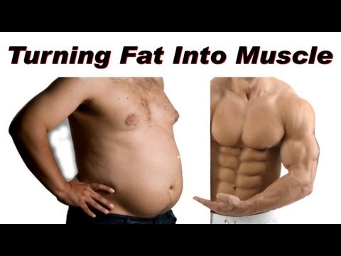 How To Turn Fat Into Muscle How To Turn Fat Into Muscle