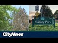 Vancouver Park Board to update Stanley Park Forest Management Plan
