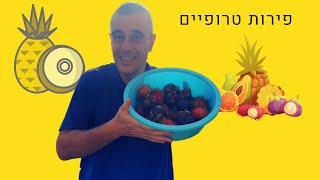 פירות טרופיים