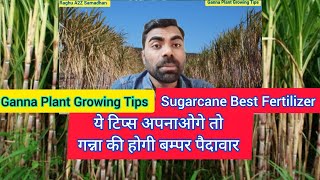 Ganna Plant Growing Tips | Sugarcane Best Fertilizer | Sugarcane Farming in Uttar Pradesh