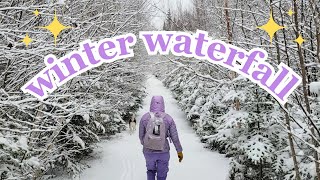 a snowy hike with friends!