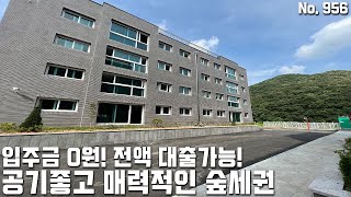 파주신축빌라 입주금 0원! 전액대출 가능! 공기좋고 매력적인 숲세권 11개동 대단지빌라