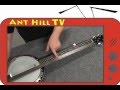 Ant Hill TV - How to install a banjo bridge