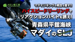 【初公開！／釣り方解説／ハイスピードリーリング】マダイジギングの概念を覆す!!　ハイスピードリーリングで狙え！　青森県平舘海峡　マダイのスーパーライトジギング