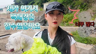 🥕고객과 백패킹장소 담력테스트 | 곱등이였숴😣|40분컷 백패킹 장소 솔직리뷰 | 안전한 백패킹 하세요