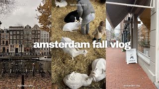 cosy Amsterdam vlog! | fall activity, holiday shopping, eating dutch pancakes, aesthetic coffee bars