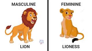 Learn Genders in English with pictures|Learn masculine Feminine Gender| Learn Ge