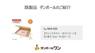 【クリックポスト・ゆうパケット】A4厚さ3cm・N式ケース