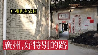 為什麽廣州有很多湖南人和廣西人？廣州的農村竟然還有這種老房子,這條路太神奇了,第1次看到有這種路