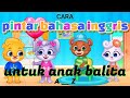 25 menit ANAK PINTAR BERBAHASA INGGRIS untuk BALITA,TK DAN SD !! kartun anak