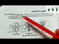 structure of flower part 2 hypogynous epigynous flower bsc first year botany second semester