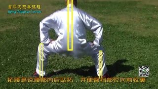 Hunyuan Taichi Horse-riding Stance  by Zhang Jiping02 马步桩的规格