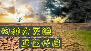 第六次生物大灭绝开始了？造成这现象的是人类吗？