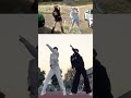 tiktok hot dance dance cover tiktok shorts dance viral trending bl boylove foryou fyp