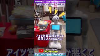 KOTEtube番外編!一体何があったのペッパー君! What the hell happened?! Pepper!#shorts #シーズー犬 #コテツ君 #wantuber #ペッパー君