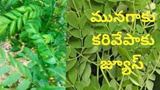 Munagaku karivepaku juice | మునగాకు కరివేపాకు జ్యూస్