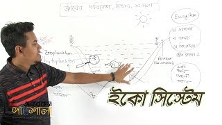 04. Echosystem | ইকো সিস্টেম | OnnoRokom Pathshala