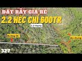 ĐẤT RẤY GIÁ RẺ. 2.2 HÉC CHỈ 600TR, ĐẤT RẪY TÂY NGUYÊN GIÁ RẺ