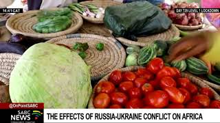 Russia-Ukraine Conflict | UN warns of severe consequences for Africa