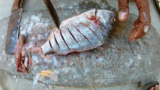 Gold Silk Bream Fish Cutting Kala Dandia Machli | Ibrahim Hyderi