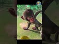 the jungle book jungle book cartoon for kids english stories powerkids world shorts kids