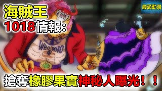 海賊王漫畫1018情報：搶奪橡膠果實的神秘人曝光！！