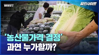 [팜인사이트] '농산물가격 결정' 과연 누가할까?