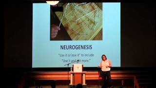 The Visual Arts and Alzheimer’s Disease, Phoebe Institute on Aging 2015