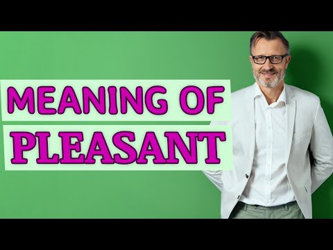 What is the noun of Pleasant?