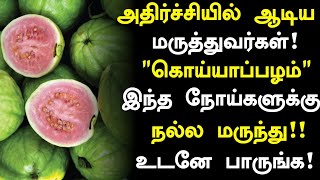 கொய்யாப்பழம் மருத்துவ நன்மைகள்! | Guava Benefits in Tamil| Guava Health tips in Tamil