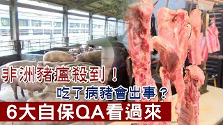 非洲豬瘟殺到！吃了病豬會出事？　十大自保QA看過來 | 台灣新聞 Taiwan 蘋果新聞網