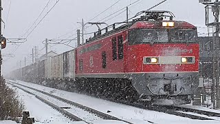 【雪×貨物】EF510-4号機牽引  3098列車  2024/12/15撮影