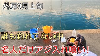 誰も釣れてない中、直ぐ近くにいた【サビキ名人】だけがアジ入れ喰い!!竿の長さは?