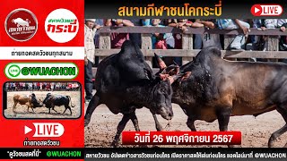 🔴LIVE #ถ่ายทอดสดวัวชน | สนามกีฬาชนโคกระบี่ | 26/11/67 #วัวชนวันนี้ #ดูวัวชนสด #ไลฟ์สด #วัวชนออนไลน์