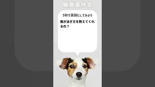 【瞬間英作文】誰が泳ぎ方を教えてくれるの？