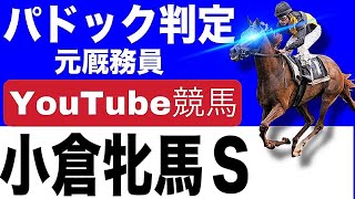 小倉牝馬ステークス2025！今年の注目馬とパドックを徹底解説！」