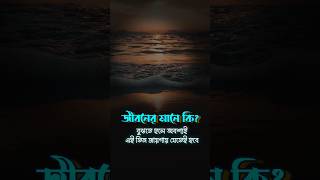 জীবনের মানে বুঝতে তিন জায়গা ঘুরে আসুন | Bangla Motivational Speech #banglamotivation