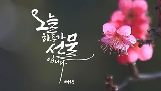 짧은 문장 연습하기 / 캘리그라피 기초 / 좋은 문장