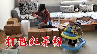 Xiaoxi packs sweet potato powder, the baby entertains himself on the walker