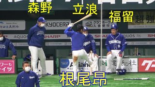 立浪・森野・福留！そうそうたる左打者の前でバットを振る根尾昂（2022年3月3日）