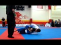 Rafael Mendes vs Gustavo Carpio | 2013 Houston Open | Art of Jiu Jitsu Academy | (949) 645 1679